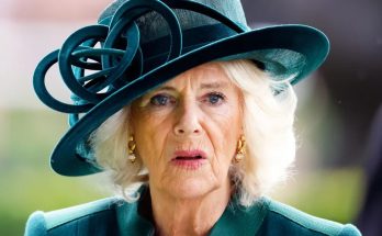 Queen Camilla's Son Says He & His Sister Are 'Not Quite Part of the Royal Family' – Their Relationship with Their Stepsiblings