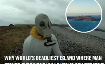 Why world's deadliest island where man stayed overnight 'kills you if you breathe' and was banned to British public
