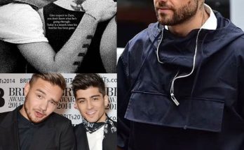 Former One Direction star Zayn Malik’s sister shared a touching post about her brother and his former band mate Liam Payne: “It turns out that everything was part of a prearranged plan…See more