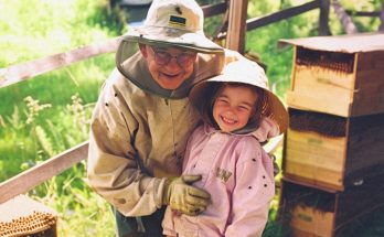 I Was Upset That My Grandfather Only Left Me an Old Apiary until I Looked into the Beehives — Story of the Day