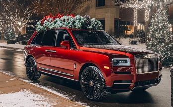 I Found an Elderly Woman on the Roadside on a Snowy Christmas Eve & Took Her Home — Days Later, a Luxury Decorated SUV Pulled up to My Door