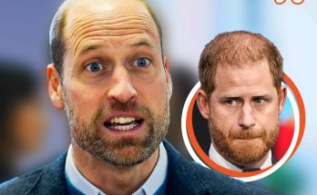 Why 'Reconciliation May Never Happen' Between Brothers Prince William & Harry