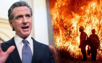 Newsom responds to those angry over wildfire response by pointing finger at local leaders, Trump