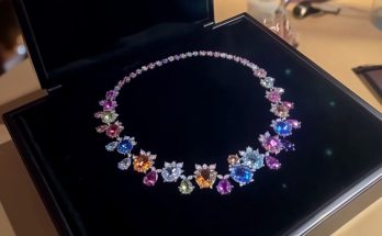 Woman Receives a Luxurious Necklace by Mail, Only to Discover It Was Sent by Mistake — Story of the Day