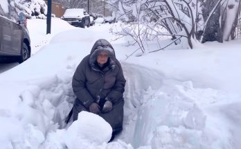 On My Way to Work, I Found an Elderly Woman Almost Frozen in a Snowdrift Near My House – What She Gave Me Changed Everything