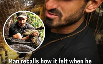 Man recalls how it felt when he tried to let world's biggest snake eat him alive on TV